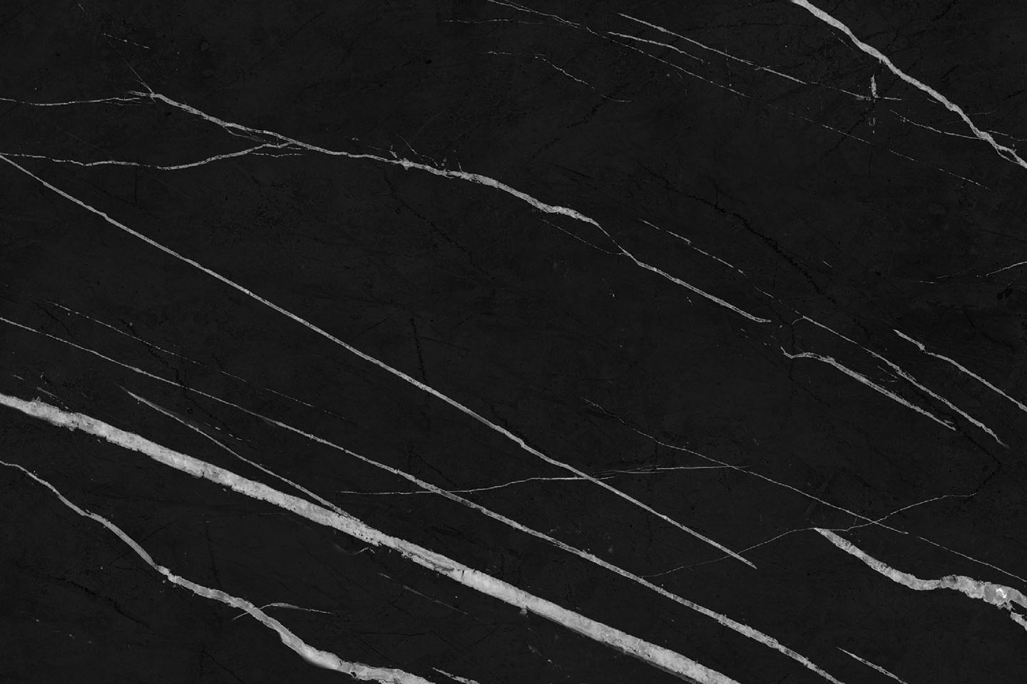 13Marquina Venato 1