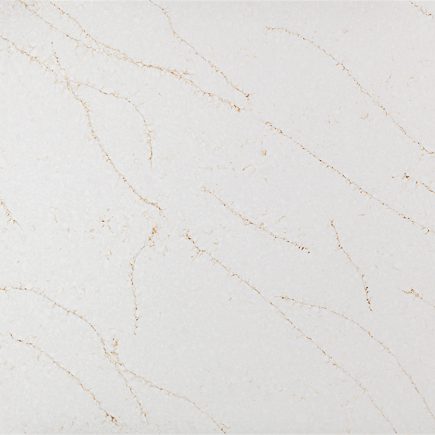 Coante 27 Calacatta Aurora Gold - Coante