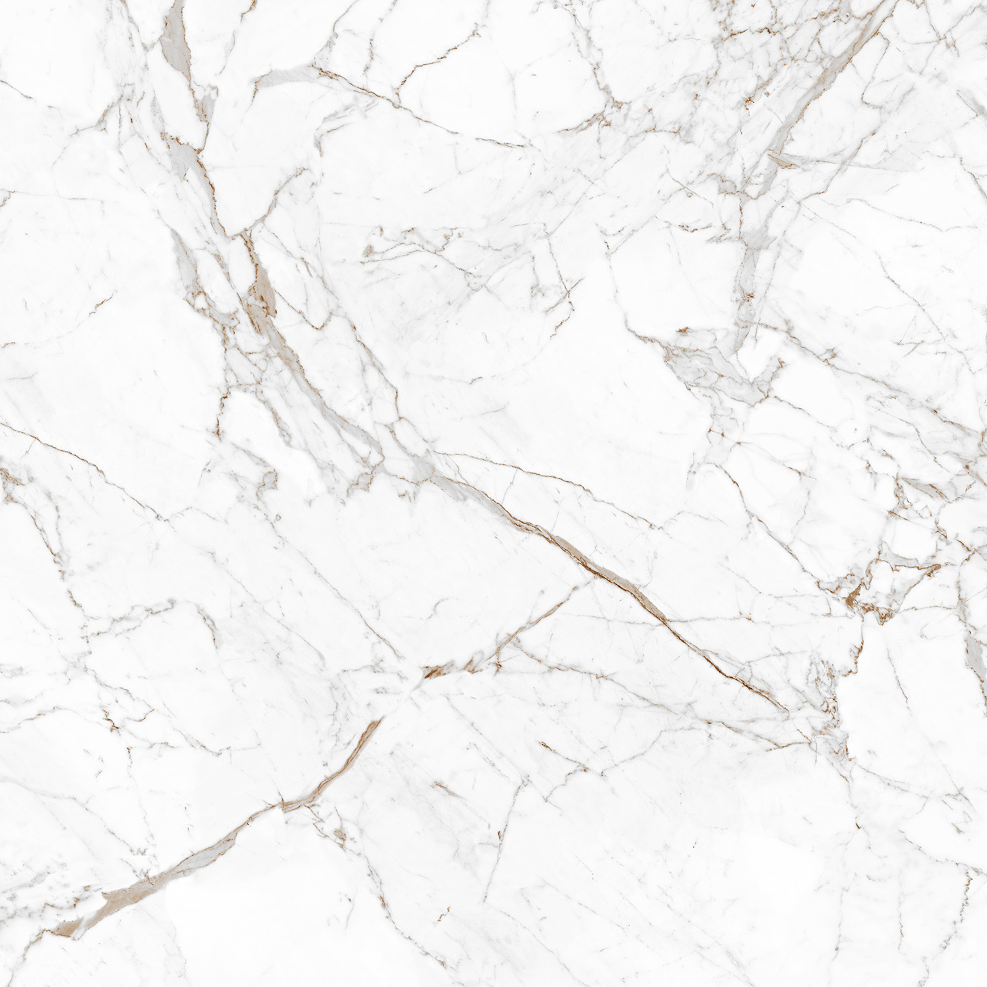 Coante 33 Calacatta Claire Grey - Coante