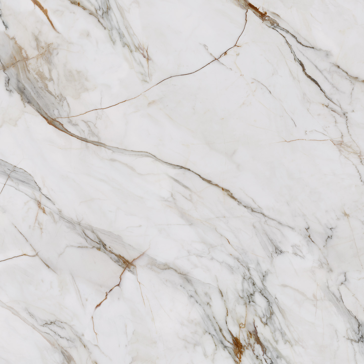 Coante 38 Calacatta Florance Gold - Coante