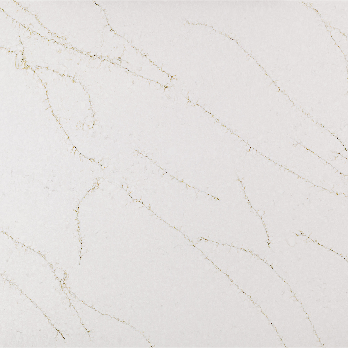 Coante 40 Calacatta Ivy Green - Coante