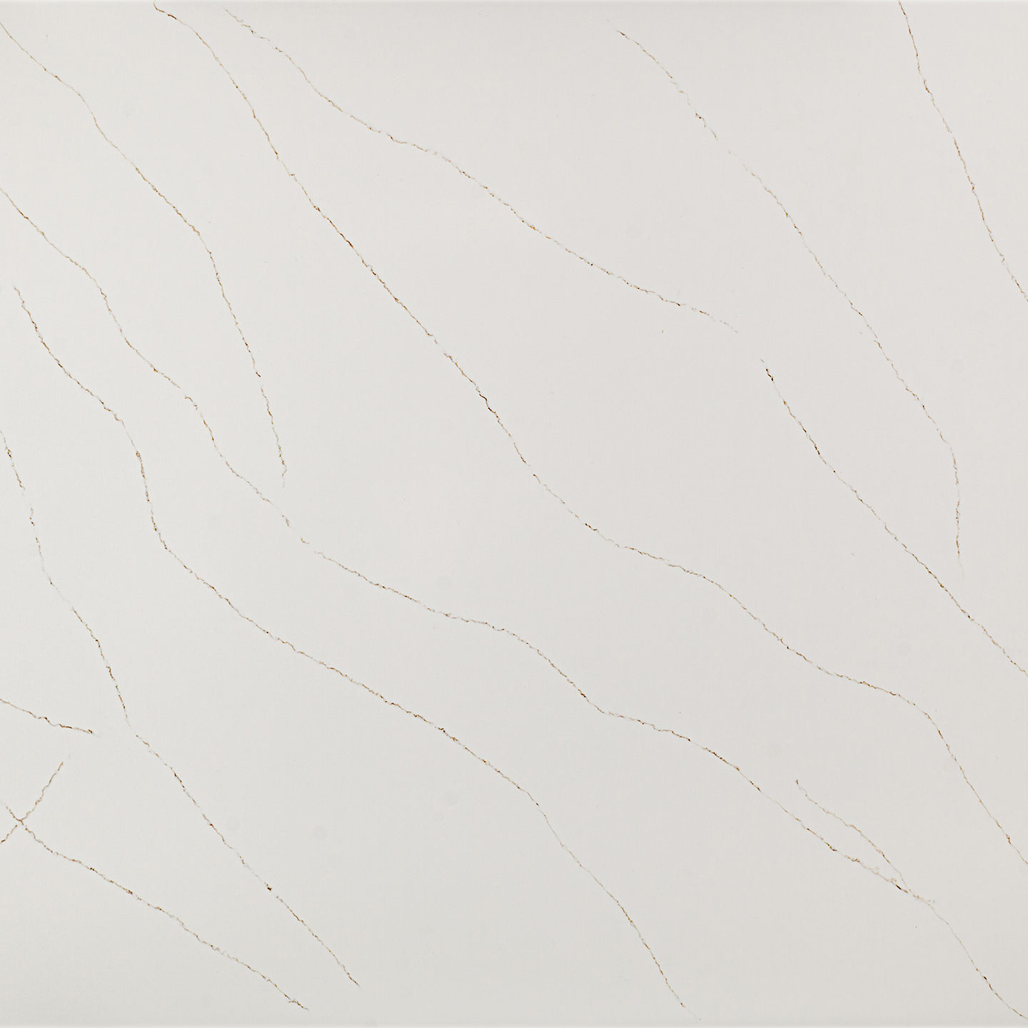 Coante 53 Calacatta Solara Gold - Coante
