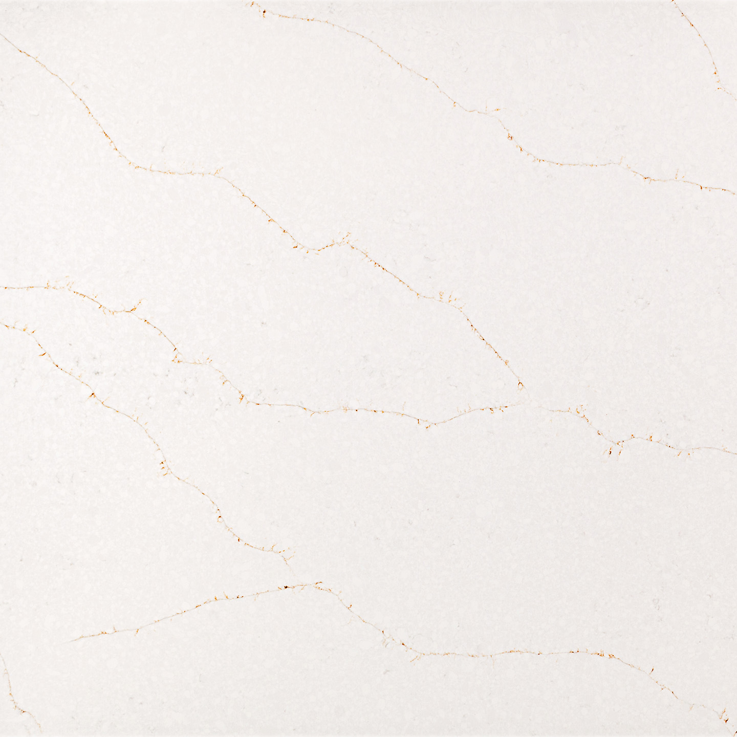 Coante 58 Calacatta Vivaldi Gold - Coante