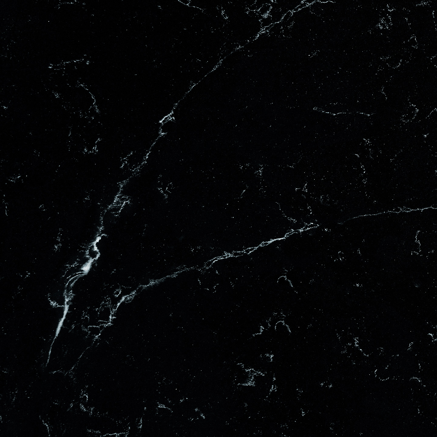 Coante 158 Nocturne - Coante
